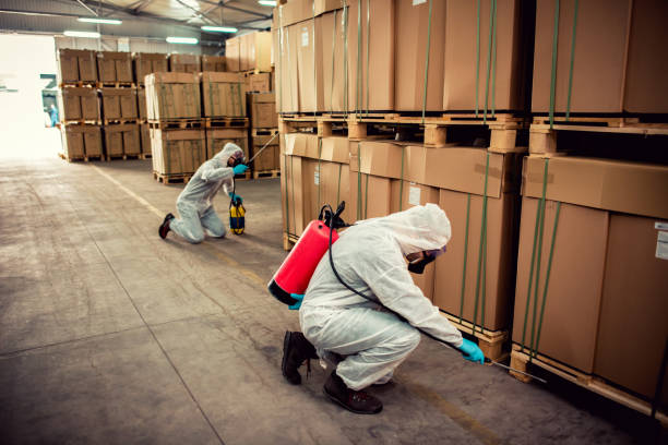  Port Vue, PA Pest Control Pros