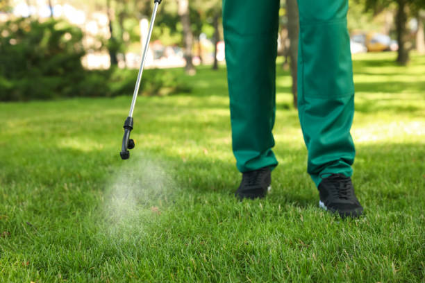 Best Mosquito Control Services  in Port Vue, PA