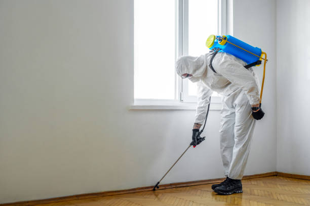 Best Termite Control Services  in Port Vue, PA