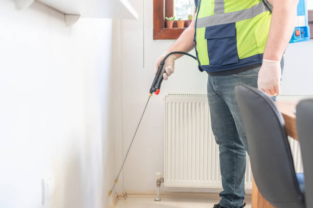 Flea Control Services in Port Vue, PA