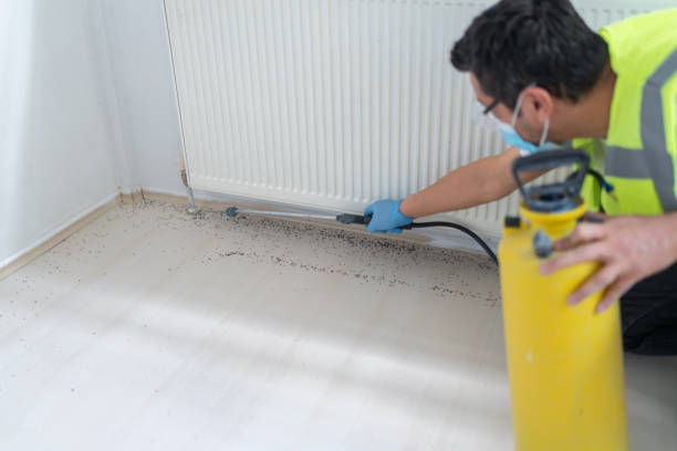 Best Local Pest Control Services  in Port Vue, PA